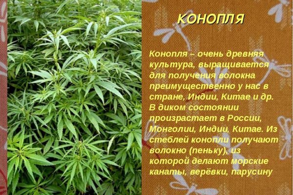 Кракен купить меф