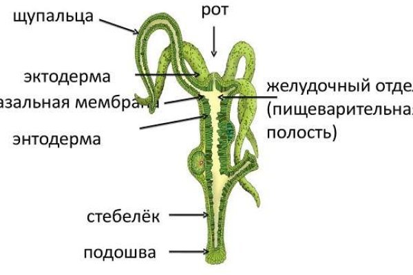 Kraken ссылка kraken link24 info